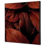 Showdown Displays Showdown Wanddekoration Set 40x40 Blätter rt