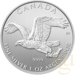1 Unze Silbermünze Kanada Birds of Prey - Bald Eagle - Weißkopfseeadler 2014