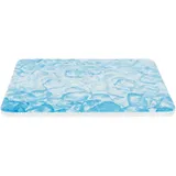 Trixie Kühlplatte 20 x 15 cm Blau