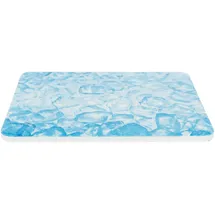 Trixie Kühlplatte 20 x 15 cm Blau