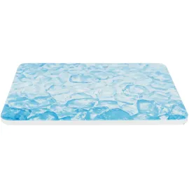 Trixie Kühlplatte 20 x 15 cm Blau