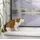 Primaster Pet-Protect Gewebe 120 x 150 cm schwarz