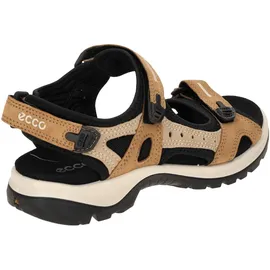 ECCO OFFROAD YUCATAN Damen Braun 37