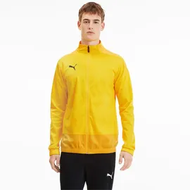 Puma Teamgoal 23 grün S