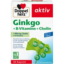 Doppelherz Ginkgo + B-Vitamine + Cholin Kapseln 40 St.