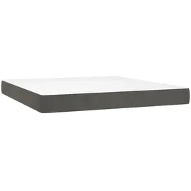 vidaXL Boxspringbett mit Matratze & LED Dunkelgrau 160x200 cm Samt