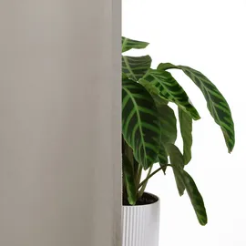 MY HOME Vorhang »Raja« Ösen 2 Stk. tlg. 2er-Set, Bestseller, einfarbig, modern, pflegeleichte Mikrofaser my home cm