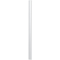 Durable Klemmschienen transparent DIN A4 60 Blatt