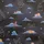 Loungefly Disney Classic Clouds Rucksack Schwarz