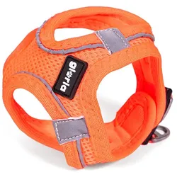 Gloria Trek Star Hundegeschirr Orange M (32,8-35,4 cm Halsumfang, 45-47 cm Brustumfang)