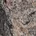 HE4