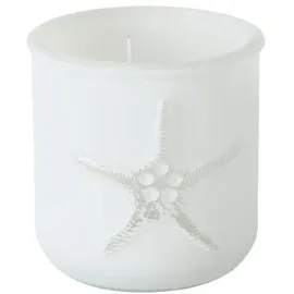 Boltze 6tlg. Windlicht White Ocean weiß Seestern Muschel Maritime Deko (2X 3 Motive)