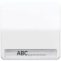 Jung Wippe Schriftfeld aws für Taster CD 590 NA