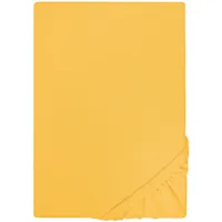 Castell - Markenbettwäsche Spannbettlaken 0077127 Jersey-Stretch 120 x 200 cm gelb