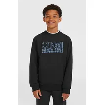 O'Neill Essentials Sweatshirt Schwarz 152