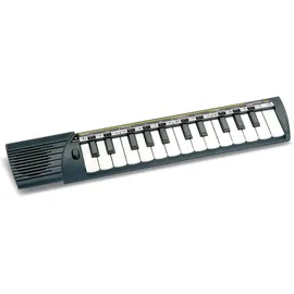 BONTEMPI Kinder-Keyboard 15 2500 25 Tasten Schwarz/Weiß
