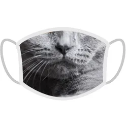 FERA Schutzmaske Britisch Kurzhaar Katze