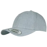 Flexfit Curved Classic Snapback grau onesize