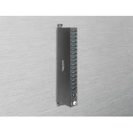 DeLock Industrie Hub 16 Port, USB-A