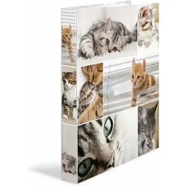 Herma Animals DIN A4 35 mm Mehrfarbig 1 St.