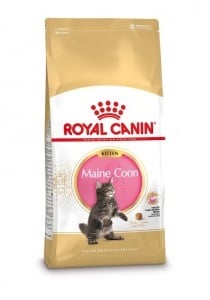 Royal Canin Kitten Maine Coon kattenvoer  4 kg