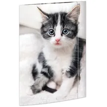 RNK RNK-Verlag Zeichenmappe A3 Katze, 1 St.