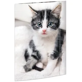 RNK RNK-Verlag Zeichenmappe A3 Katze, 1 St.