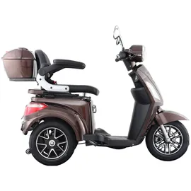 aktiv mobil E-Trike Pro Braun