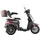 aktiv mobil E-Trike Pro Braun