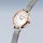 BERING Classic 11022-064 Milanaisearmband 22 mm