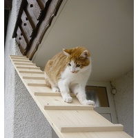 Elmato Katzentreppe 1-4 Meter erweiterbar (0,99cm ohne Verbindungsstück)