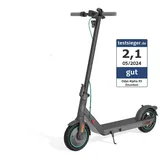 Odys Alpha X5 E-Scooter (10 Zoll, Schwarz)