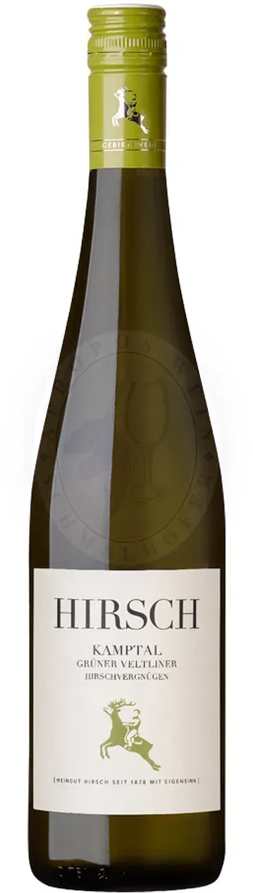 Grüner Veltliner Kammern 2024 Hirsch 0,75l