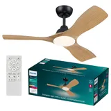 Philips Olas 107 cm Deckenventilator Schwarz