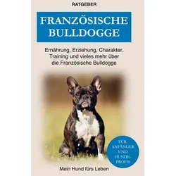 Französische Bulldogge