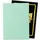 Dragon Shield Dual Matte Sleeves Eucalyptus (100)