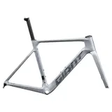 Giant Propel Advanced Pro 28'' 2025 Rahmenset-Silber-L