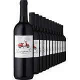 2024 Movimento Primitivo im 12er-Vorratspaket