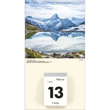 Zettler Kalenderrückwand 18x33cm für Typ 302 / 304 / 305 / 312 Natur sortiert