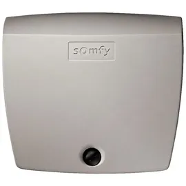 SOMFY Exavia Star RTS 1240653 Drehtorantrieb 250kg