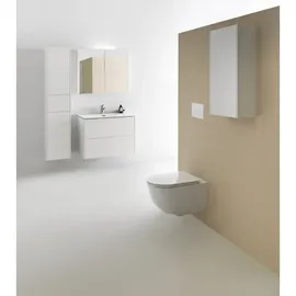 Laufen Pro (8209560000001)