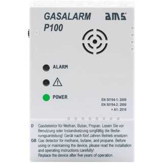 AMS Gasmelder P100 mit Schaltausgang