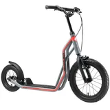 Star Scooter Scooter 16 Zoll 12 Zoll. grau grau