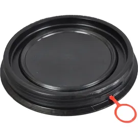 plasteo Regentonne Set 2 x 60 l blau