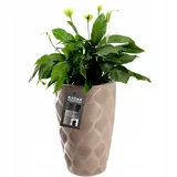 KADAX Blumentopf mit Einsatz und Griffen, aus Kunststoff, 48.5 cm, beige