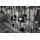 WILO Hocheffizienzpumpe Stratos MAXO 50/0,5-16