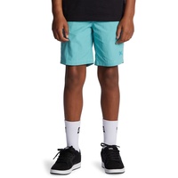 DC Shoes Wayford - Elastische Shorts für Jungen 8-16 Blau