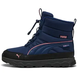 Puma Evolve Boot Blau 37,5