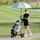 lifezeal GOPLUS Golftrolley Faltbarer Golfwagen mit 3 Rädern, Golf Cart aus Eisen, inkl.Trinkflaschenhalter, Schirmhalter &... - Schwarz
