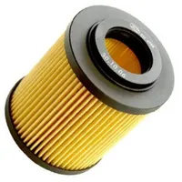 SCT Germany Ölfilter Motorölfilter SH 4788 P